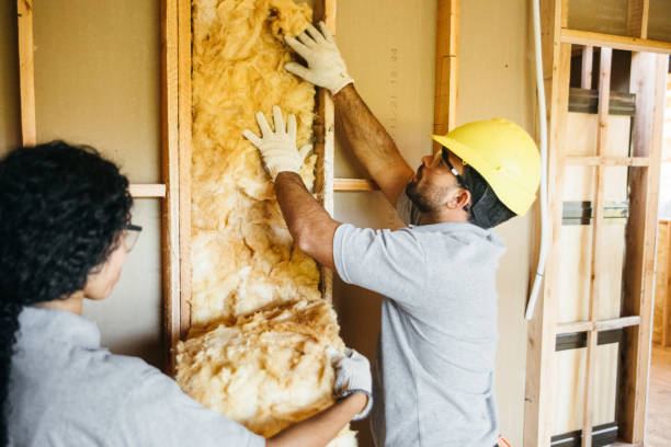 Types of Insulation We Offer in Garland, TX